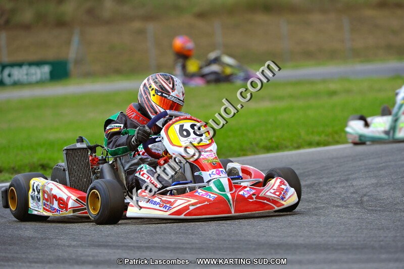 DSC_ (522).jpg